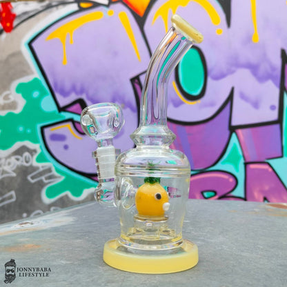 Birdy Percolator Glass bong - 7 inch