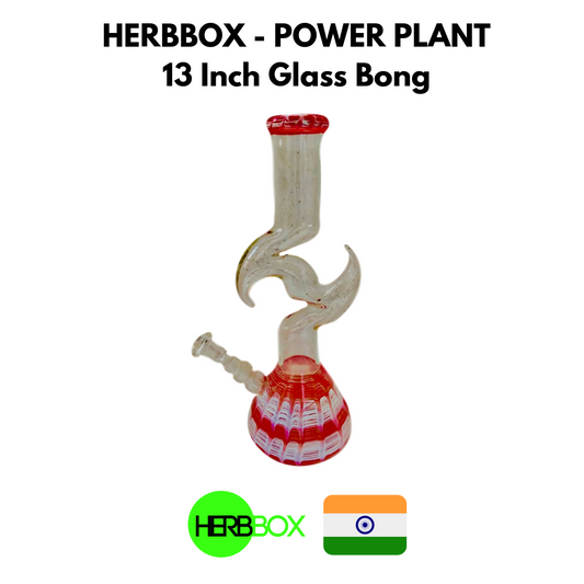 Power Plant 13 Inch Glass Bong - HERBBOX