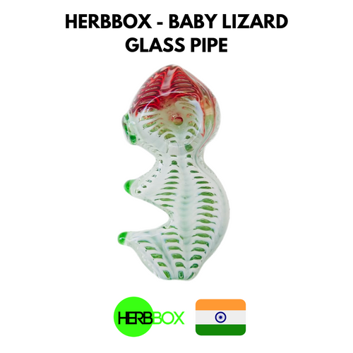 HERBBOX - Baby Lizard Glass Pipe