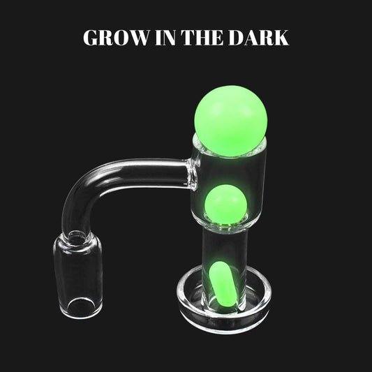 Terp Slurpers Quartz Banger With Glass Bead Set